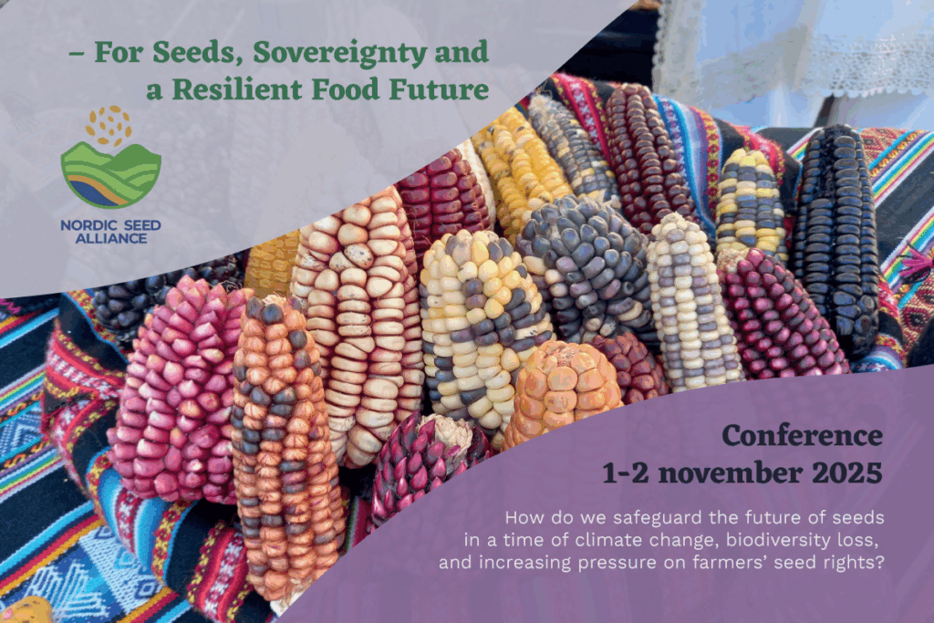 seed alliance bild